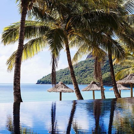 Beach Club (Adults Only) Đảo Hamilton Ngoại thất bức ảnh