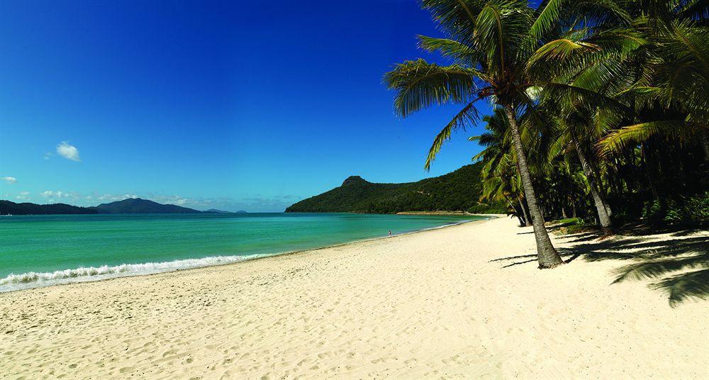 Beach Club (Adults Only) Đảo Hamilton Ngoại thất bức ảnh